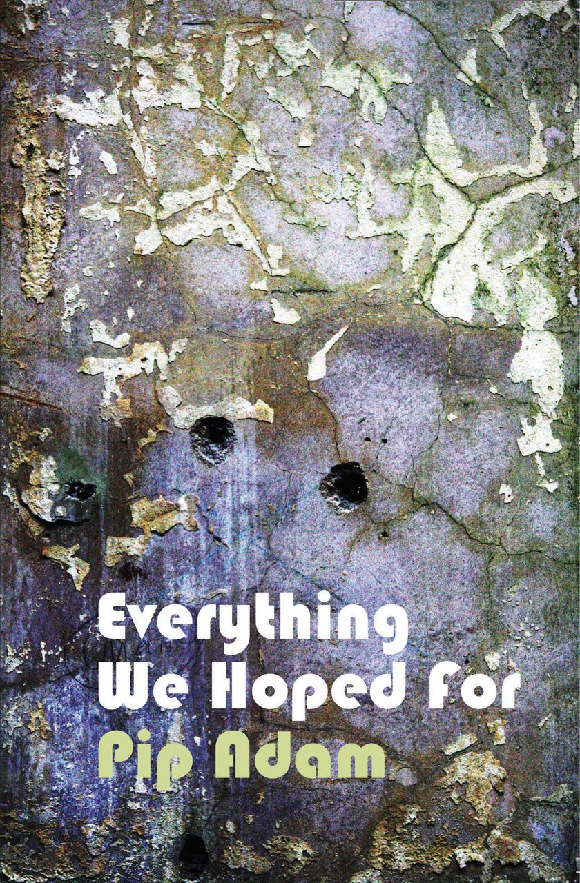 Everything We Hoped For