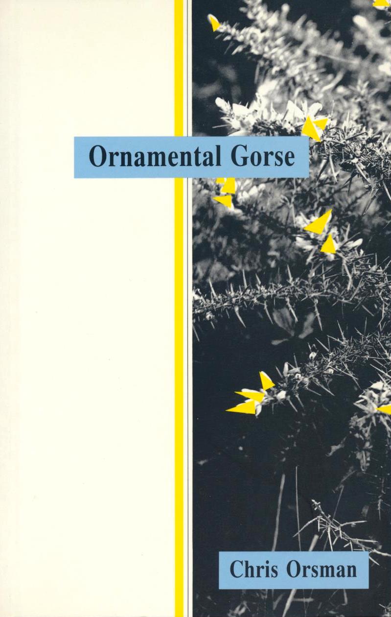 Ornamental Gorse