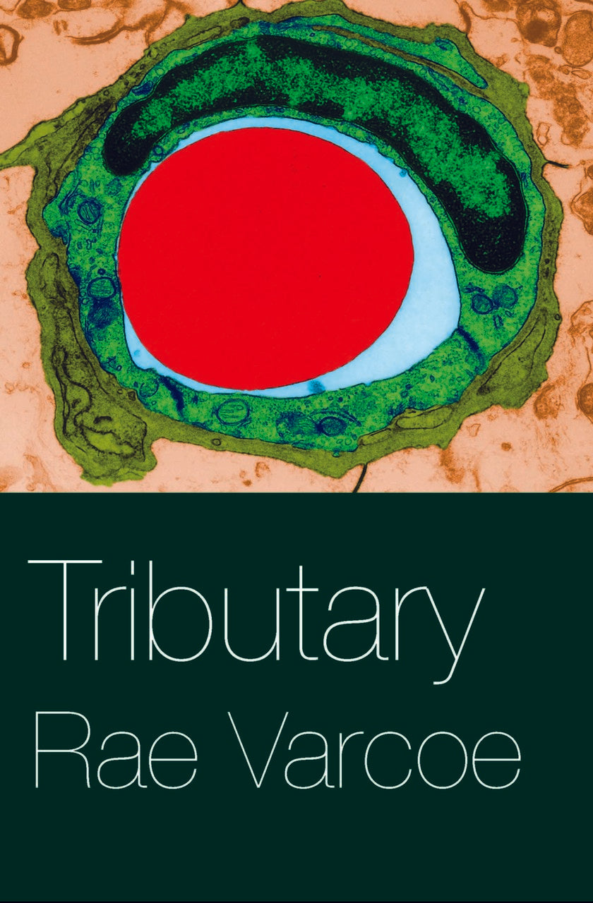 Tributary