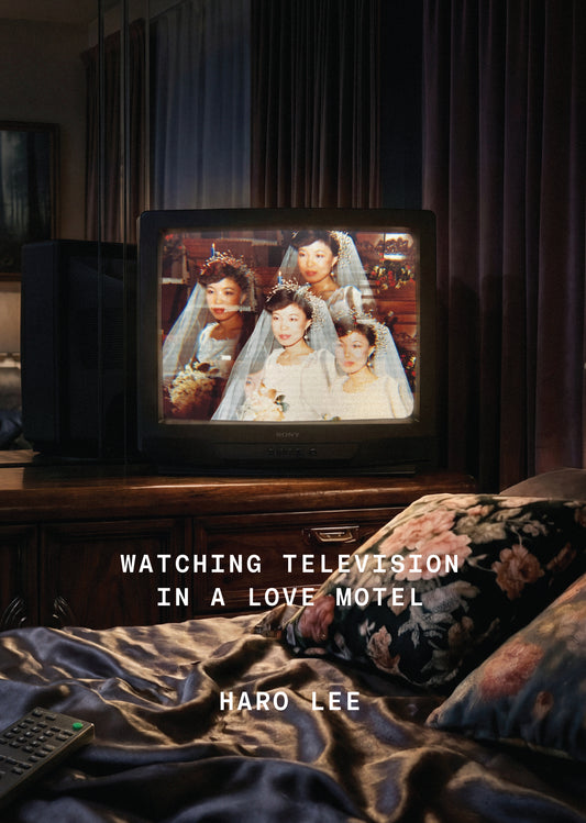 Watching Television in a Love Motel