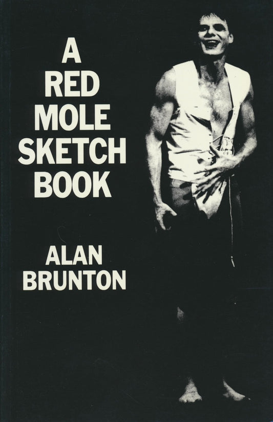 A Red Mole Sketchbook