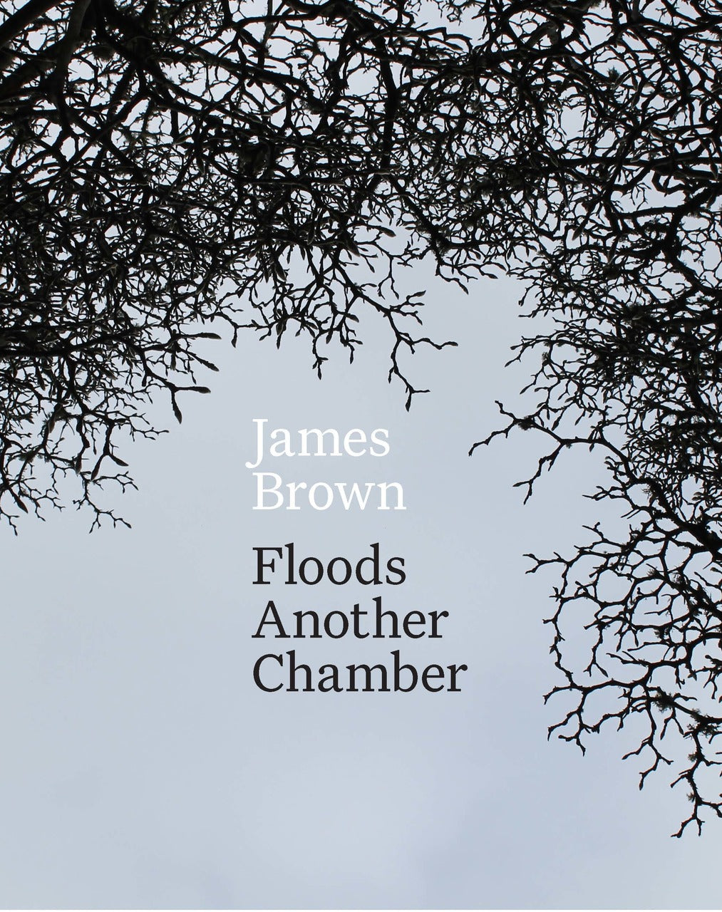 Floods Another Chamber