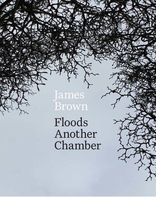 Floods Another Chamber