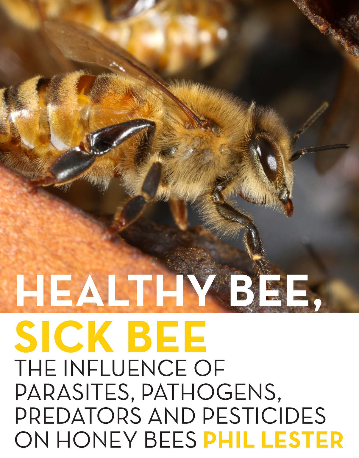 Healthy Bee, Sick Bee: The Influence of Parasites, Pathogens, Predator ...