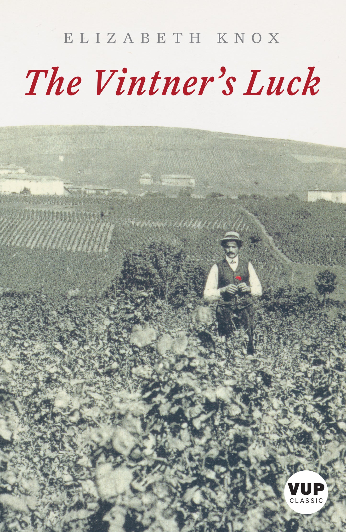 The Vintner's Luck | VUP Classic